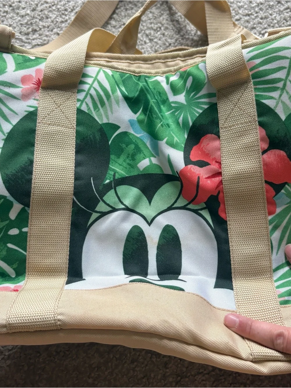 Disney canvas tote